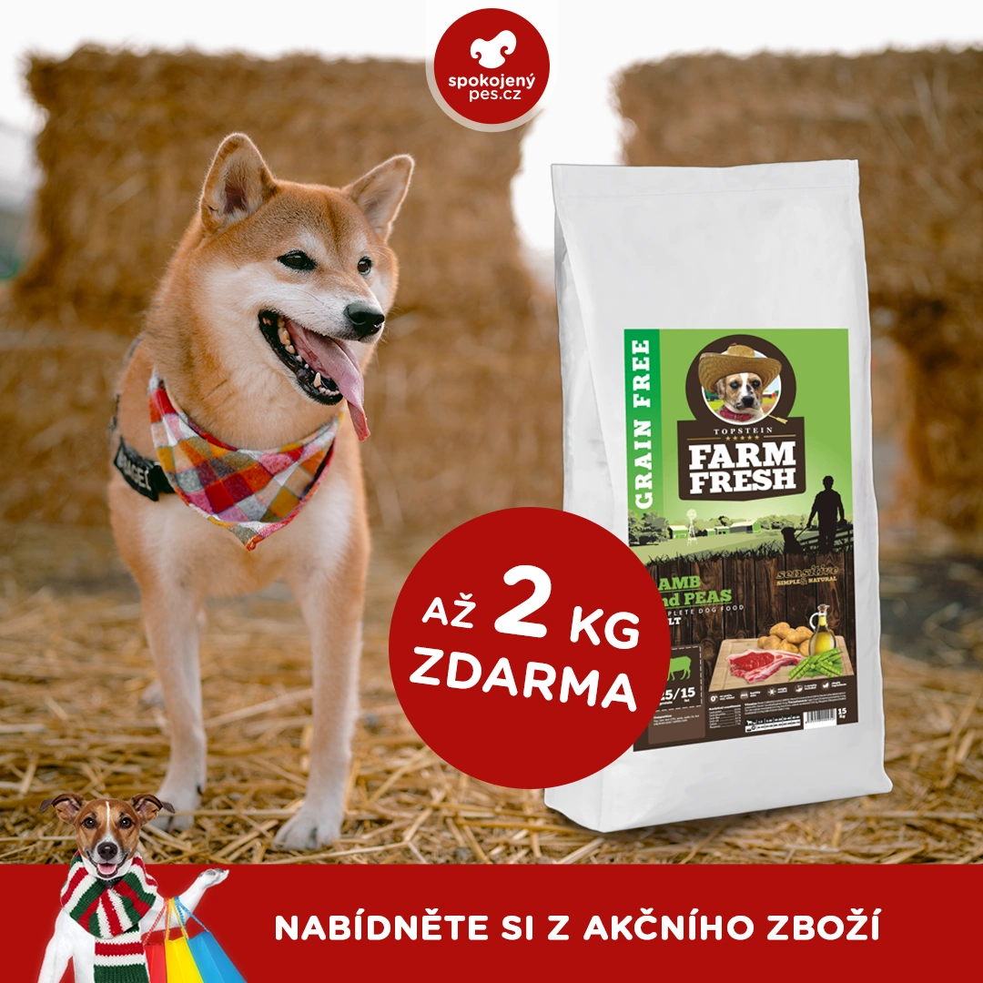 akční únor_2.webp